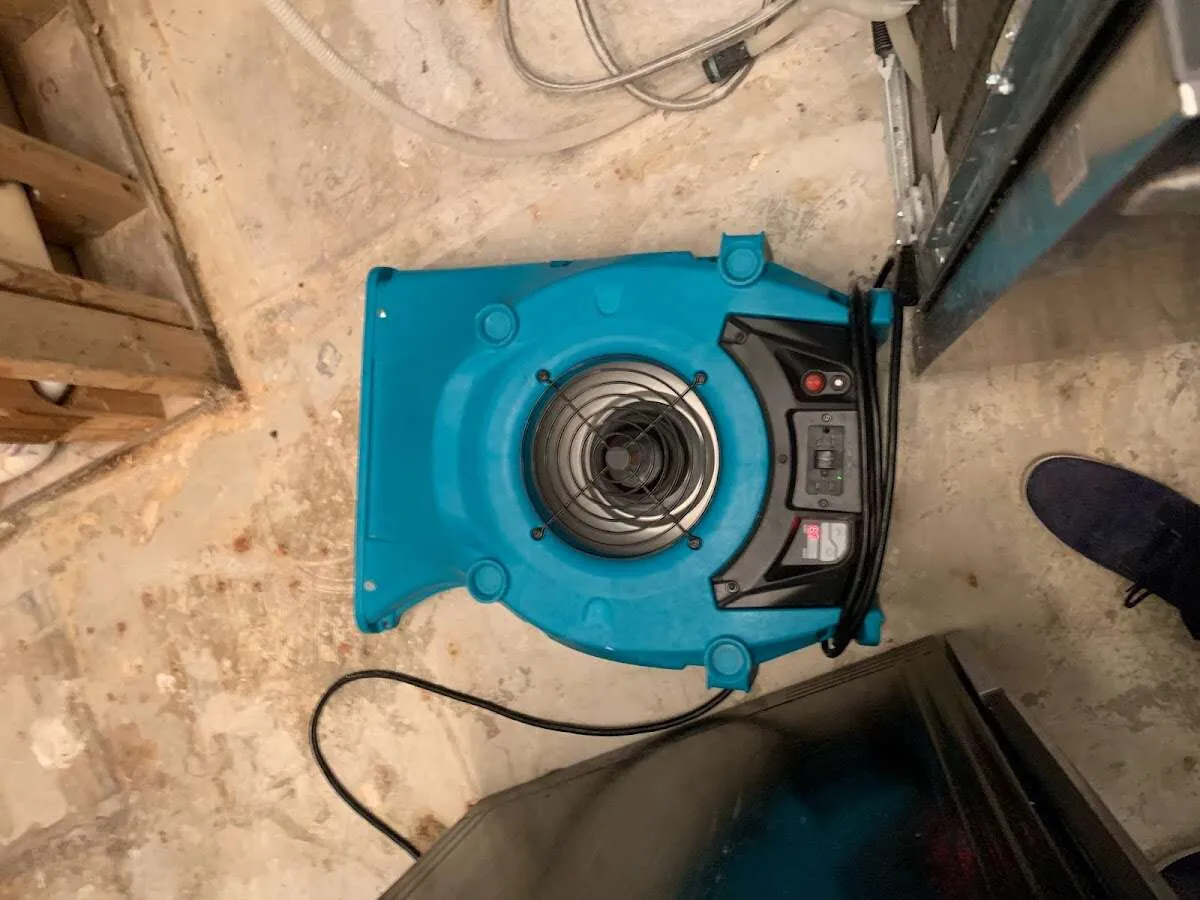 Air mover drying equipment for Mold Remediation & Removal in Woodway